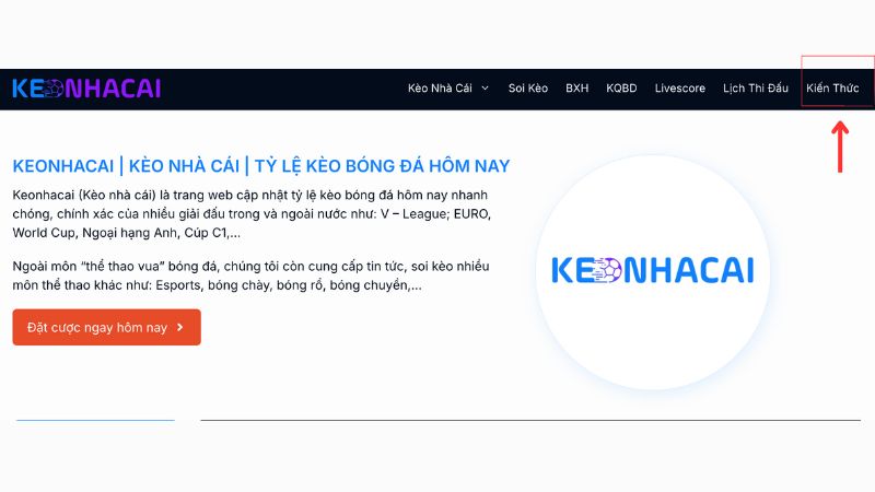 Tham khảo ý kiến của các chuyên gia Keonhacai88